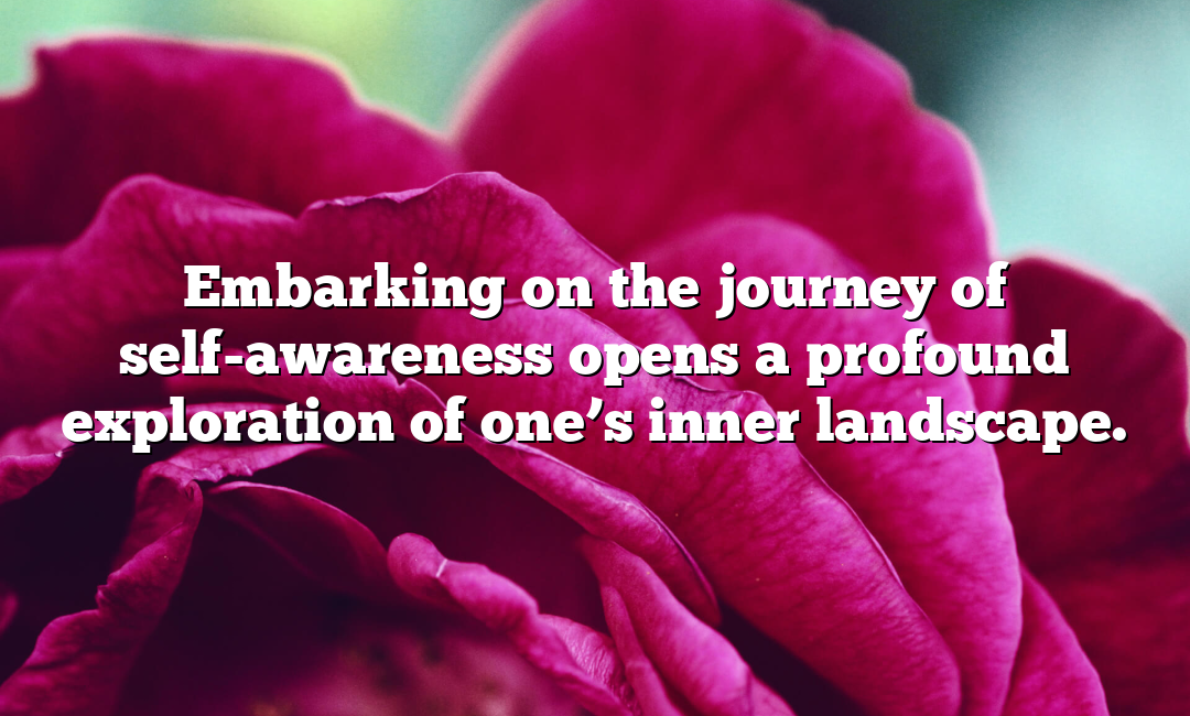 Embarking on the journey of self-awareness opens a profound exploration of one’s inner landscape.