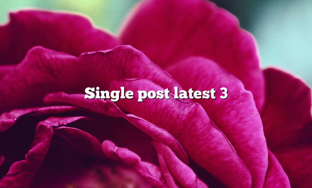 Single post latest 3