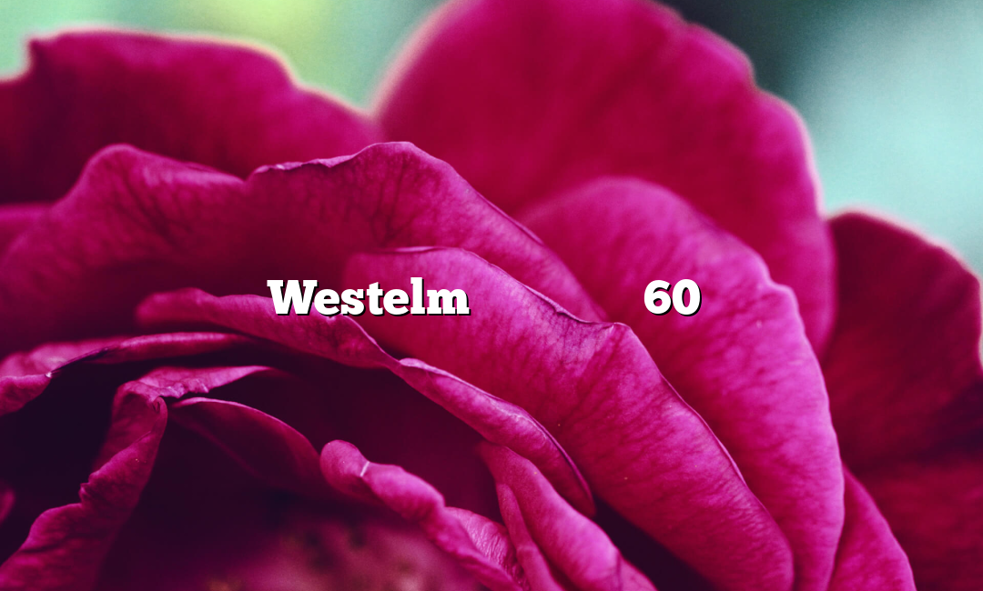 تقدم Westelm كوبونات خصم 60٪ لمصر