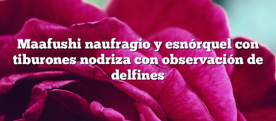 Maafushi naufragio y esnórquel con tiburones nodriza con observación de delfines