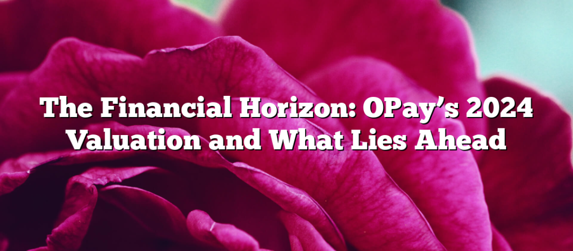 The Financial Horizon: OPay’s 2024 Valuation and What Lies Ahead